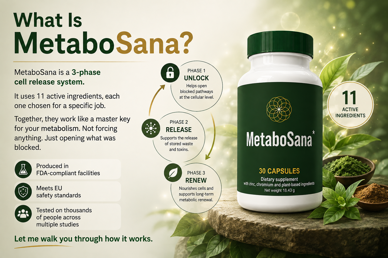 What is Metabo Sana